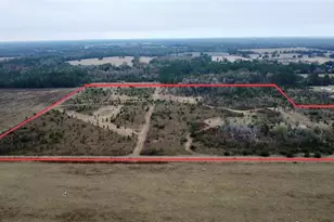 Tbd Cr 235, Brooker, FL 32622 - Photo 6