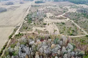 Tbd Cr 235, Brooker, FL 32622 - Photo 4