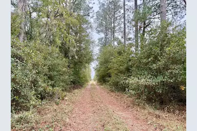 Tbd Cr 235, Brooker, FL 32622 - Photo 14