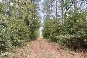 Tbd Cr 235, Brooker, FL 32622 - Photo 14