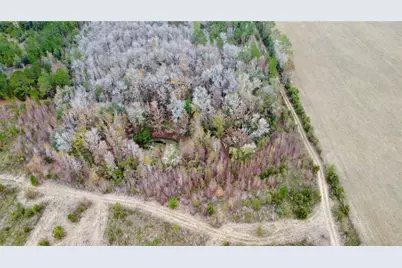 Tbd Cr 235, Brooker, FL 32622 - Photo 12