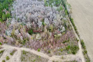 Tbd Cr 235, Brooker, FL 32622 - Photo 12