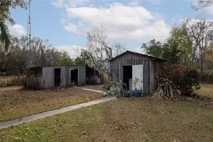29716 NW County Road 241, Alachua, FL 32615 - Photo 12