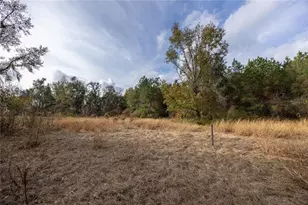 29716 NW County Road 241, Alachua, FL 32615 - Photo 16