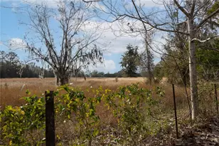 29716 NW County Road 241, Alachua, FL 32615 - Photo 18