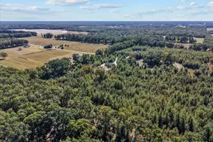 4906 NW 36th St, Bell, FL 32619 - Photo 16