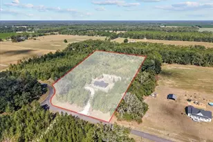 4906 NW 36th St, Bell, FL 32619 - Photo 10