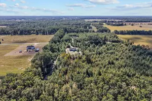 4906 NW 36th St, Bell, FL 32619 - Photo 14