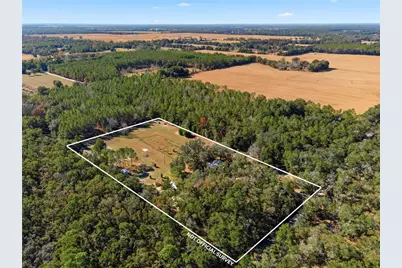 1349 SW 27th Place, Bell, FL 32619 - Photo 4