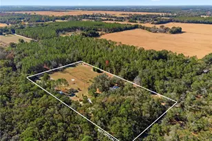 1349 SW 27th Pl, Bell, FL 32619 - Photo 4