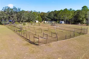 1349 SW 27th Pl, Bell, FL 32619 - Photo 10