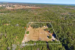 1349 SW 27th Pl, Bell, FL 32619 - Photo 6