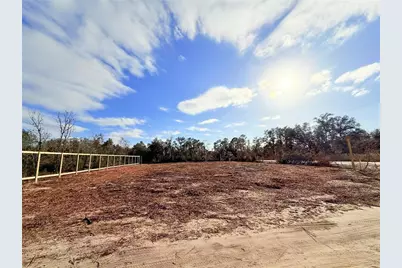 000 NE 67th Lane, Williston, FL 32696 - Photo 6