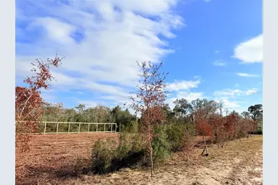 000 NE 67th Lane, Williston, FL 32696 - Photo 2
