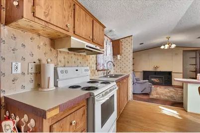148 SE 911th Street, Old Town, FL 32680 - Photo 8