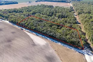 4035 NW County Rd 342, Bell, FL 32619 - Photo 16