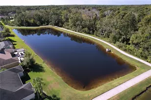 1737 Virginia Willow Dr, Wesley Chapel, FL 33544 - Photo 90