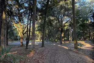 19411 N US Hwy 301, Citra, FL 32113 - Photo 16