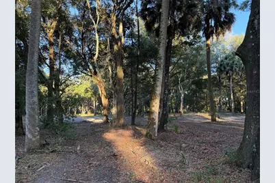 19411 N US Highway 301, Citra, FL 32113 - Photo 18