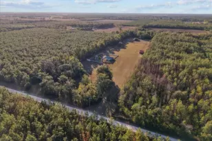 13691 201st Rd, Live Oak, FL 32060 - Photo 30