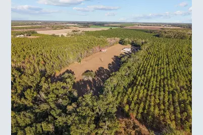 13691 201st Road, Live Oak, FL 32060 - Photo 28