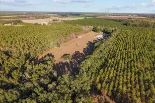 13691 201st Rd, Live Oak, FL 32060 - Photo 28