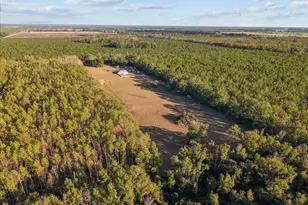 13691 201st Rd, Live Oak, FL 32060 - Photo 34