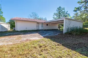 11216 NE 63rd Pl, Williston, FL 32696 - Photo 4