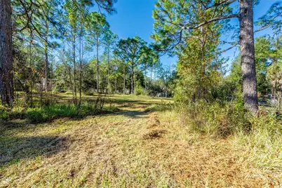 11216 NE 63rd Place, Williston, FL 32696 - Photo 6