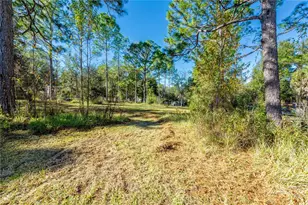 11216 NE 63rd Pl, Williston, FL 32696 - Photo 6