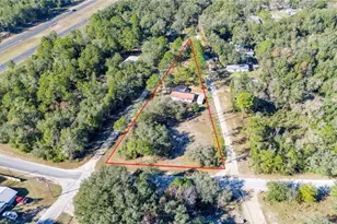 11216 NE 63rd Pl, Williston, FL 32696 - Photo 2