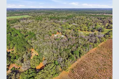 14600 NW 216th Place, Micanopy, FL 32667 - Photo 56