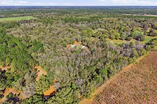 14600 NW 216th Pl, Micanopy, FL 32667 - Photo 56