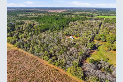 14600 NW 216th Place, Micanopy, FL 32667 - Photo 58