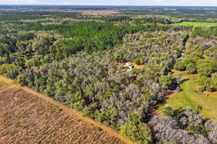 14600 NW 216th Pl, Micanopy, FL 32667 - Photo 58
