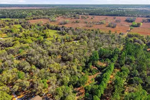 14600 NW 216th Pl, Micanopy, FL 32667 - Photo 54