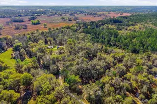 14600 NW 216th Pl, Micanopy, FL 32667 - Photo 52