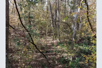 Lots 165 & 166 SW Nebraska Terrace, Fort White, FL 32038 - Photo 4