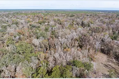 Lots 165 & 166 SW Nebraska Terrace, Fort White, FL 32038 - Photo 12