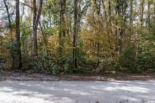 Lots 165 & 166 SW Nebraska Terrace, Fort White, FL 32038 - Photo 1