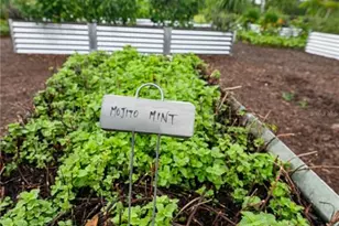 6023 SW 124th Wy, Archer, FL 32618 - Photo 16