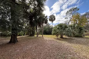 111 Little Orange Lake Dr, Hawthorne, FL 32640 - Photo 24