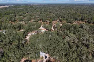 12170 NE 90th St, Bronson, FL 32621 - Photo 54