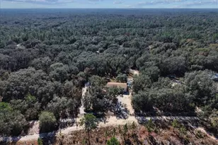 12170 NE 90th St, Bronson, FL 32621 - Photo 50