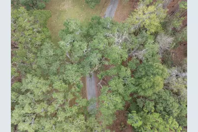 634 NE 696th Street, Branford, FL 32008 - Photo 46