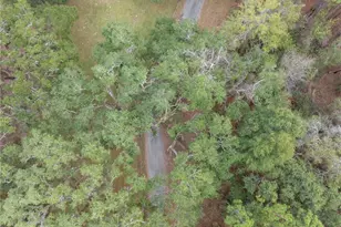 634 NE 696th St, Branford, FL 32008 - Photo 46