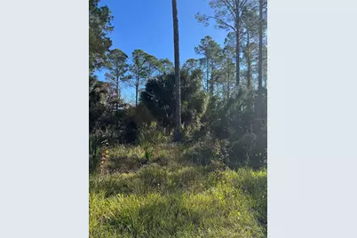 00 SE 330th St, Old Town, FL 32680 - Photo 2