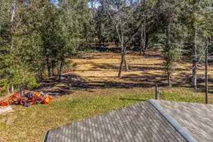 7970 SW 14th Pl, Bell, FL 32619 - Photo 8