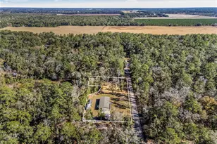 7970 SW 14th Pl, Bell, FL 32619 - Photo 4