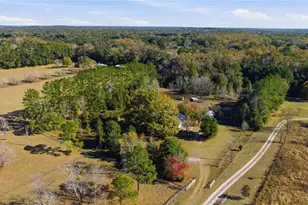 18004 N W 55th Pl, Alachua, FL 32615 - Photo 44
